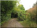 SU4950 : Harrow Way crossing Jack Mills Lane by Derek Harper