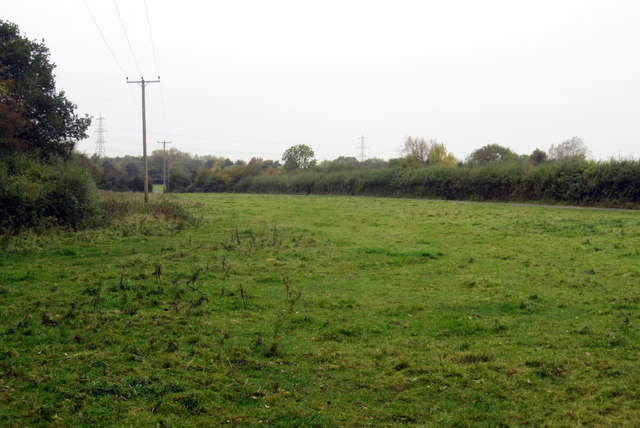 Electricity poles by the track to Blackland Farm