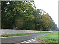 The southern corner of Holkham Park in Norfolk