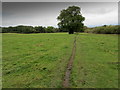 Ripon Rowel beside the River Ure