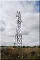 Pylon by Canewdon Rd