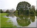 Flooding at Ham riverside