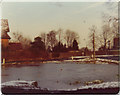 Frozen Mill Hill pond, 1976