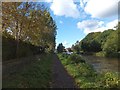 Exeter Canal with autumn colour