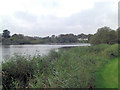 Swan Pool from Swanpool Road