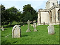 Holy Rood, Buckland Newton: churchyard (v)