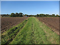 Footpath to Lode