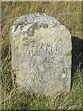 NY8153 : Milestone on the Allendale to Carrshield road north of Black Hill by Mike Quinn