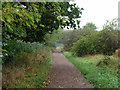 Path at edge of Epping Forest