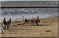 Donkey rides on Llanelli Beach