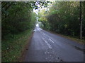 Minor road towards Rothley Cross Roads