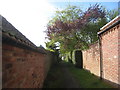 Footpath from the church