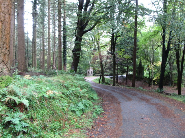 Approaching Ivy Bridge at Tollymore Park