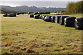 Silage bales in a field