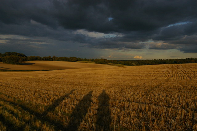 Autumn light and shadows, south of Shire Lane, Farnborough