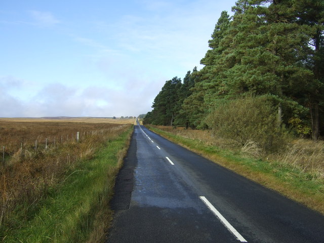 Minor road heading west beside the Harwood Forest