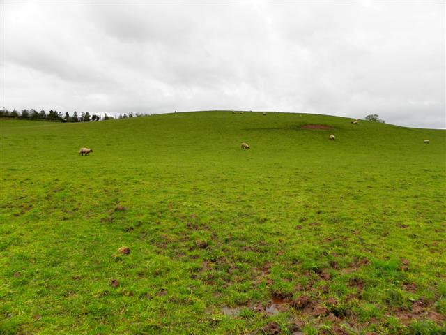 Edenderry Townland © Kenneth Allen cc-by-sa/2.0 :: Geograph Britain and ...