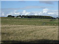 NZ0086 : Farmland towards Coldwell by JThomas