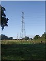 Pylon in a field