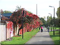 TL0349 : Autumn colour, Bedford by Malc McDonald