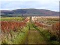 Southern Upland Way on Sanquhar Moor