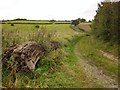 Track near Cold Harbour House