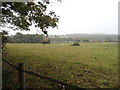 Fields on Barwell Court Farm, Claygate