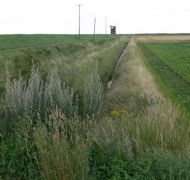 Farmland and drainage ditch