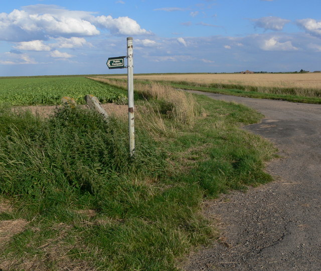 Marsh Lane near Gedney Drove End © Mat Fascione cc-by-sa/2.0 ...