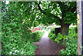 Footpath off Station Road