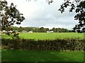 Looking north from Drumburn Viewpoint