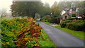 Yartleton Lane in autumn