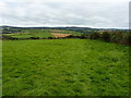 A field above Cambridge Farm