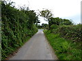 Minor lane and junction near Lower Forge