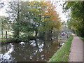 Birthday barge coming on the Mon. & Brec, Canal near Goytre