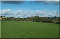 Farmland between the Lisburn Road and the Ballynahinch River