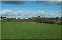 J3354 : Farmland between the Lisburn Road and the Ballynahinch River by Eric Jones