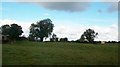 Grazing land north of the Ballynahinch Road