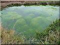 Pool at the field edge