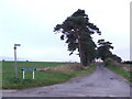 Lane to Herne poplar Farm, Toddington