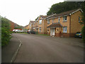 Houses in Florence Way