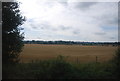 Farmland south of the railway line