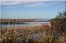 NJ3465 : Lower Spey Estuary by Anne Burgess