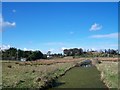 Drainage ditch in wetland between Seaside Road and the town centre