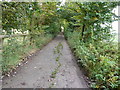 Looking north on New Lane towards South Harting