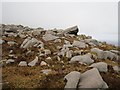 G9891 : Granite boulders by Richard Webb