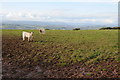 View over the Usk valley