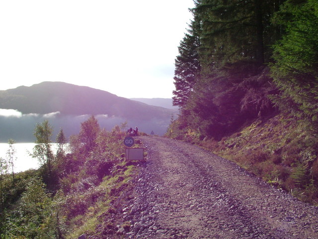 Forestry track, with road signals