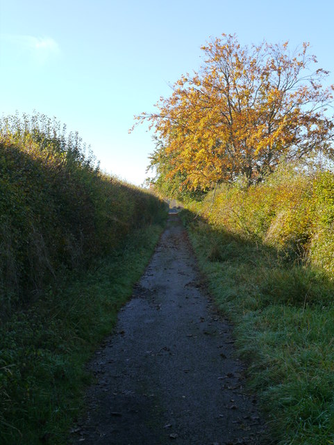 Lounds Dale, Scottish Borders - area information, map, walks and more