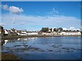 View north across Killyleagh Harbour